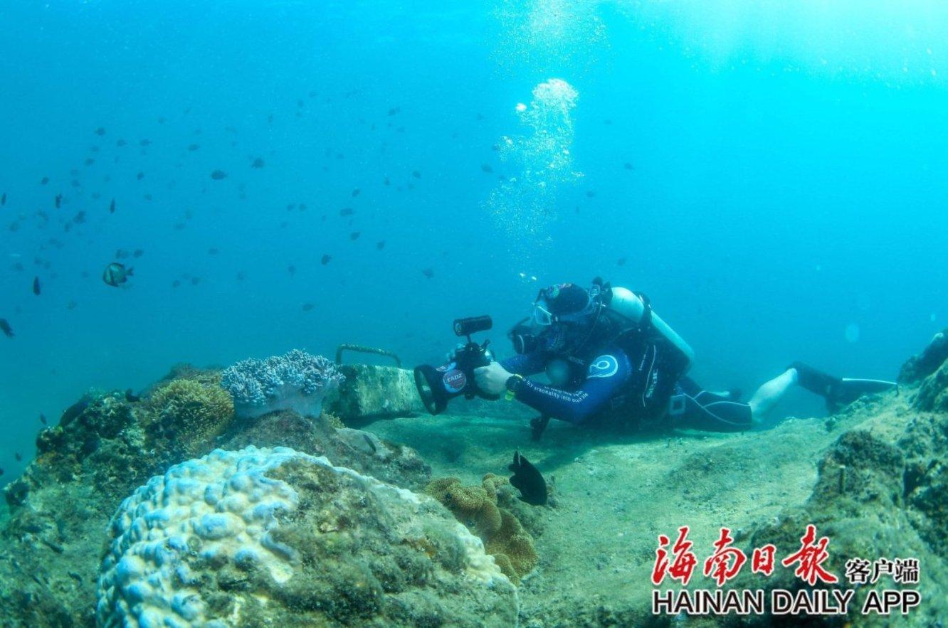 “尔滨”的风，吹到了国外！