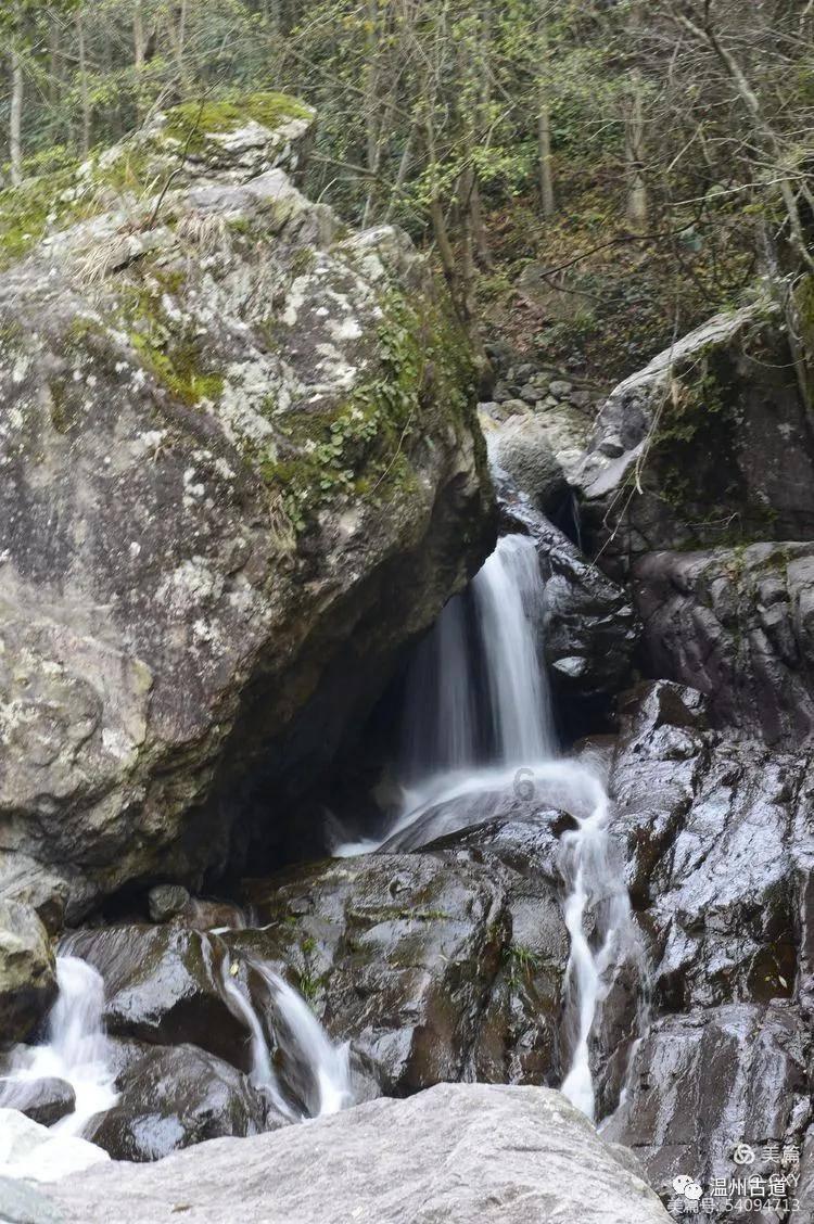 《桥梁项目》价格介绍